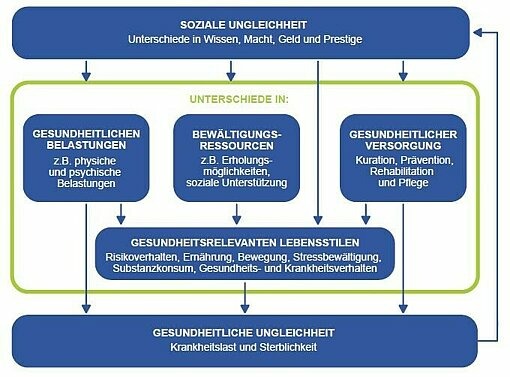 Schaubild