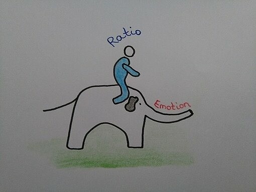 Elefant_Reiter.jpg